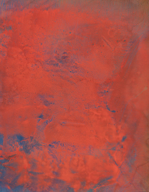 Opus | Framed Giclee Print on Canvas